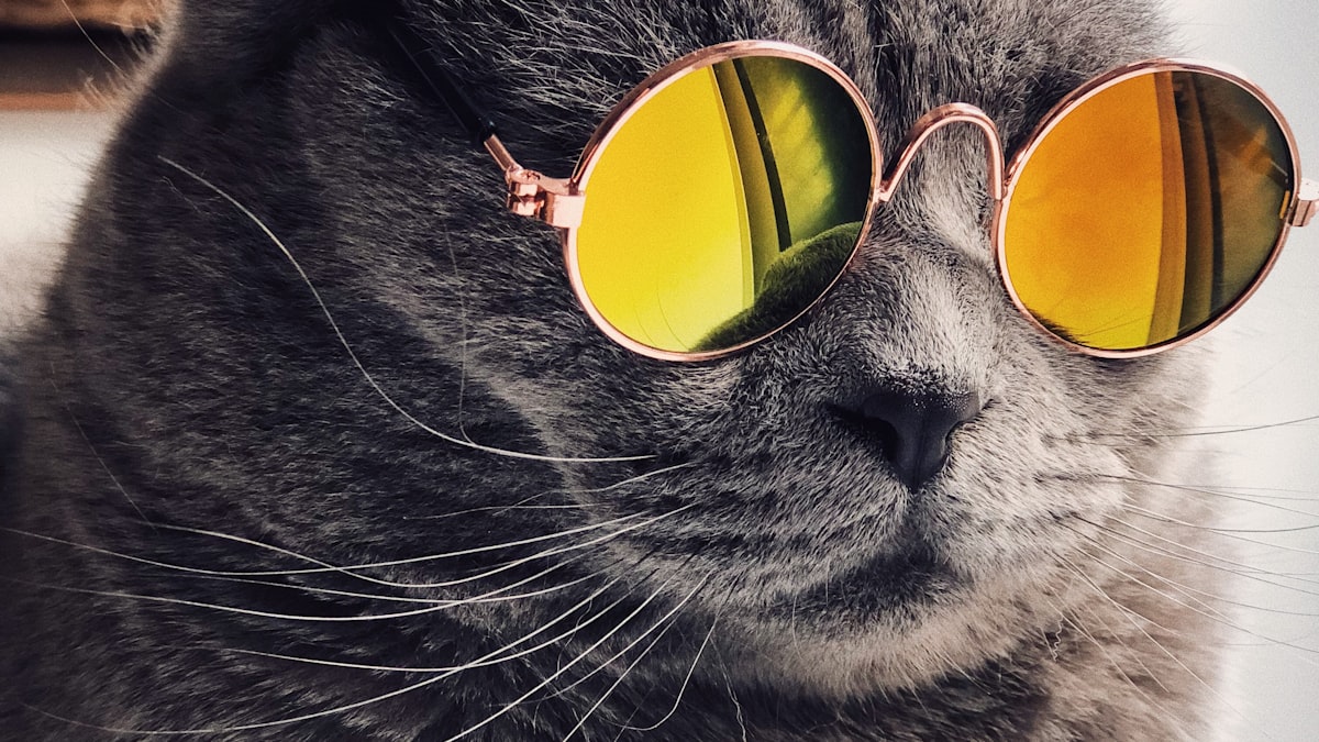 CatBoost: How It Handles Categorical Features Without Leaking the Answer